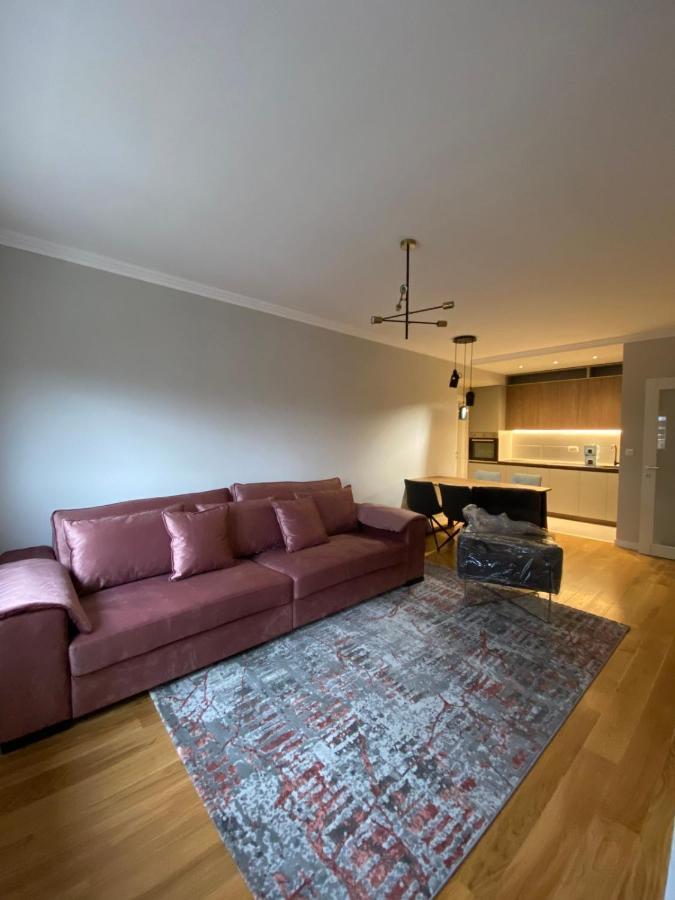 Apartman VT Central point Podgoriţa Exterior foto